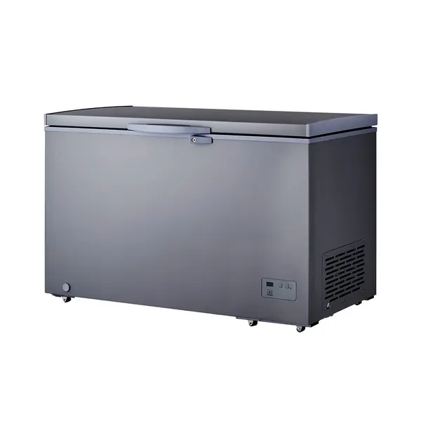 LG Freezer Repair Service